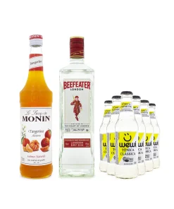 Combo Drink Tangerina G&T - MONIN Tangerina 250ml + Gin Beefeater 750ml + 6 Tônica Wewi 255ml