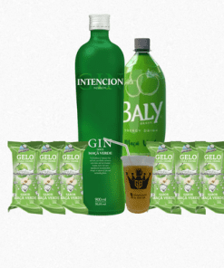Combo Gin intencion sabores Gelo 4 gelos
