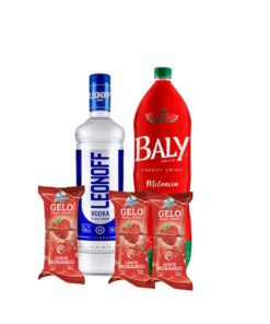 Combo Vodka leonof 3 gelos sabores+ energetico sabor